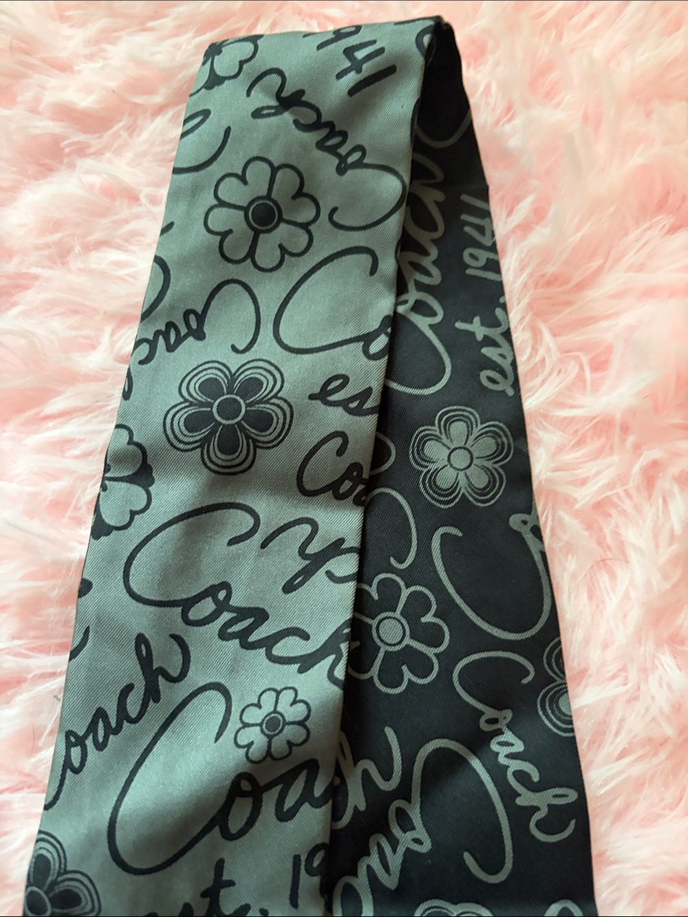 Coach Scarf - Picture 5 of 6
